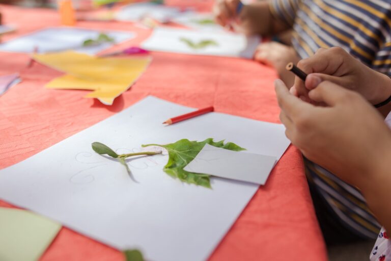 Natuurknutsels voor Kinderen: Ideeën voor de Zomer